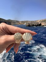 Marine muse earrings - Image 3